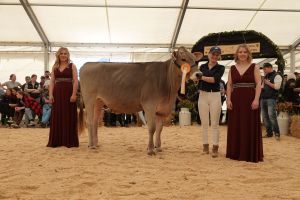 Vize Urner Champion BS HOLDRIO HOSTESS